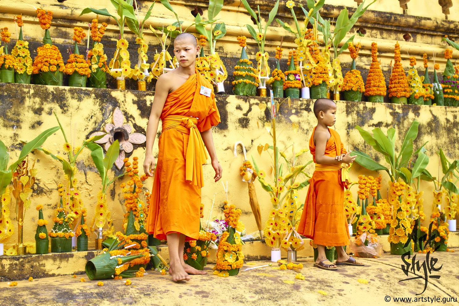 Yong monks help elder to collect offering of parishioners during Pha That Luang Festival, Pha That Luang, Vientiane, Laos.