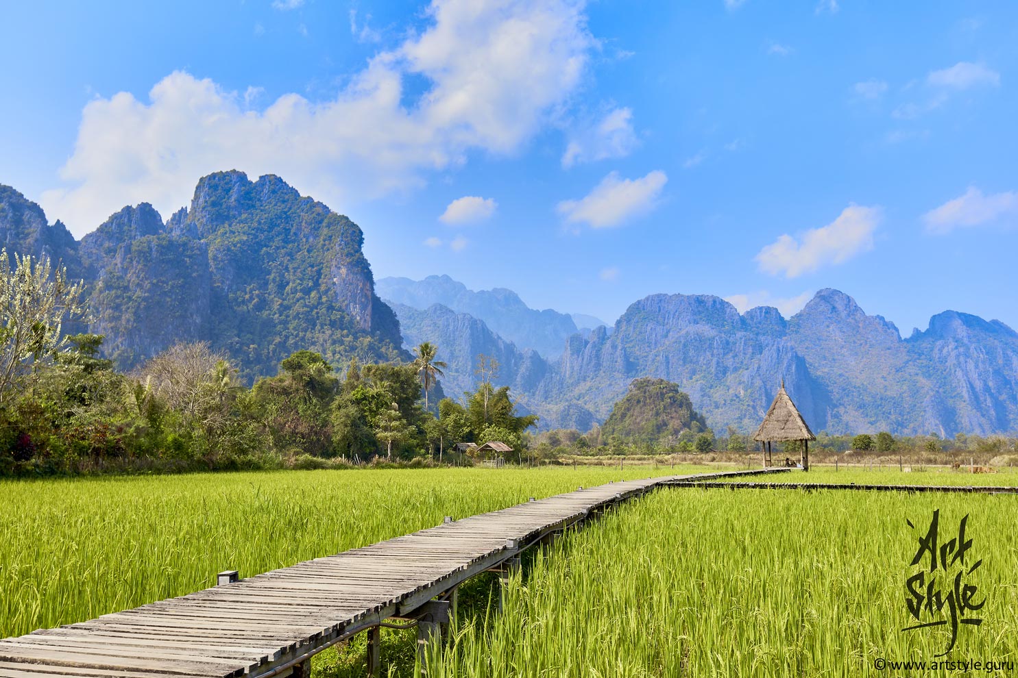 Rice fields around Vang Vieng, Laos.