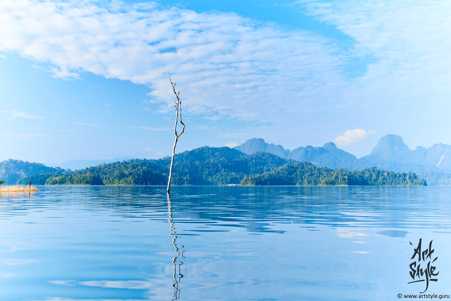 Khao Sok National park, Thailand.