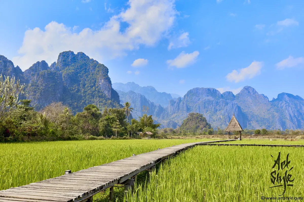 Rice fields around Vang Vieng, Laos.